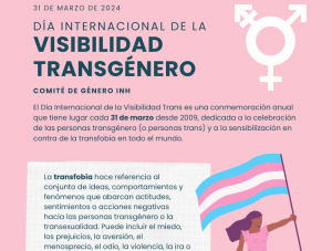 Gráfica con información sobre el Día de la Visibilidad Trans